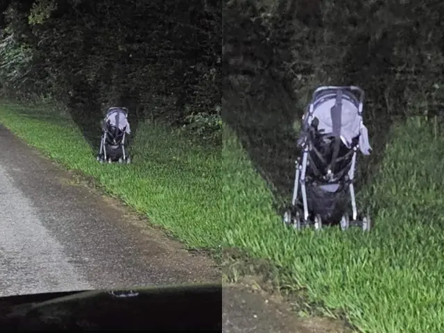 Woman Issues Urgent Warning After Spotting a Baby Stroller on a Dark Road at Midnight