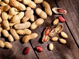 Eating peanuts regularly? Here’s what doctors say happens…