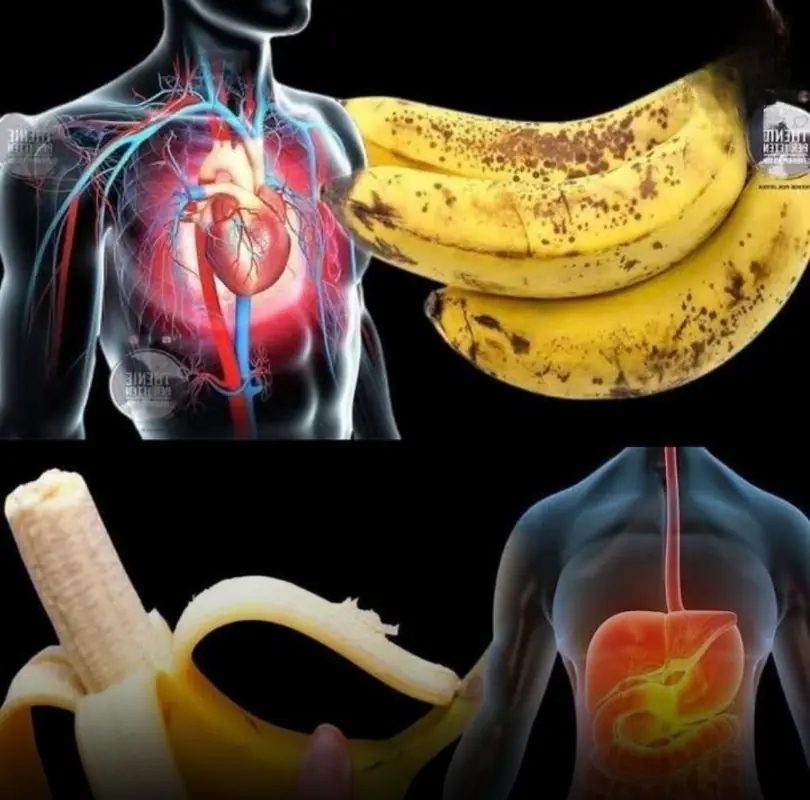 Eat a banana every day and see what happens