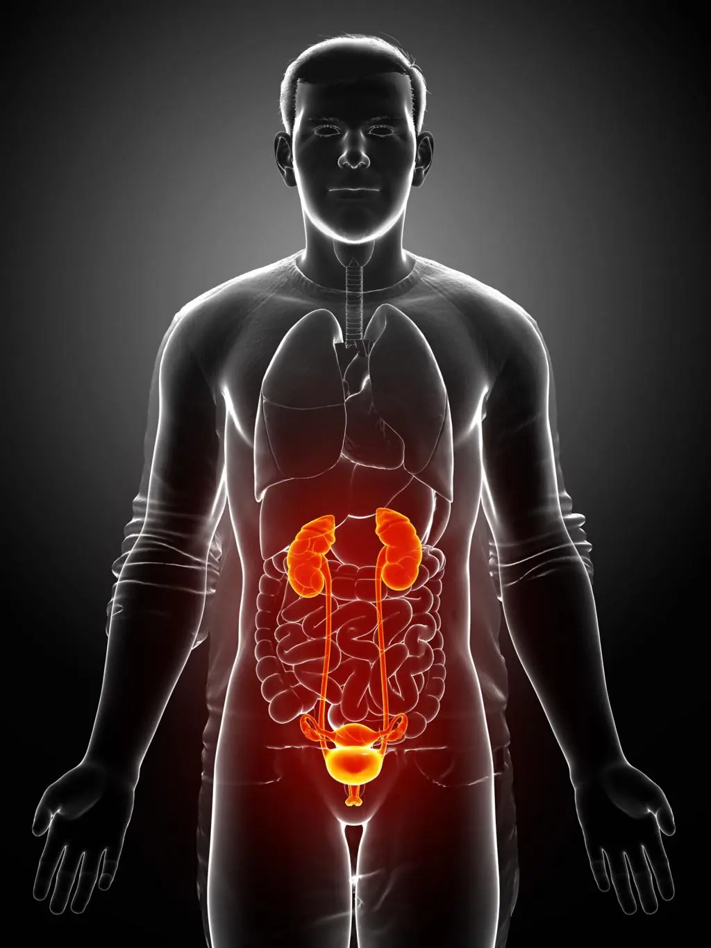 Are Your Kidneys Failing? Silent Warning Signs You Shouldn’t Ignore