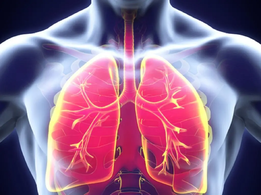 Experiencing pain in these 3 spots? It could signal lung can.cer