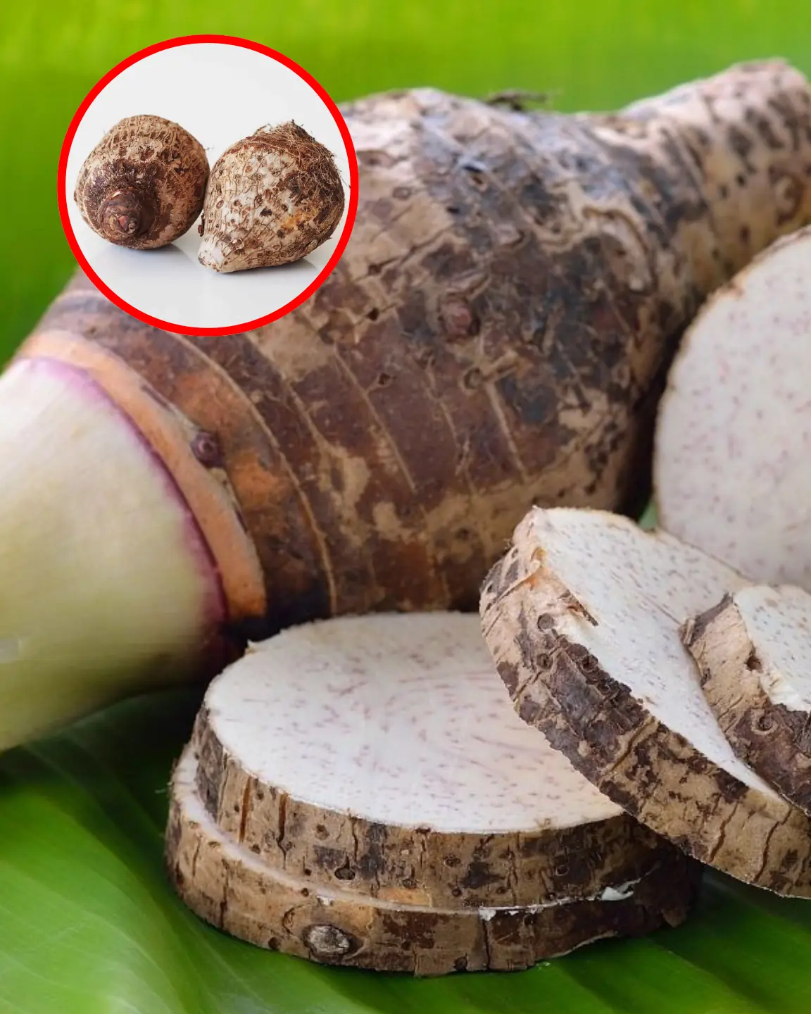 If taro is something you often include in your diet, you might want to take a closer look at how it affects your body. Some details about this food are often misunderstood or ignored
