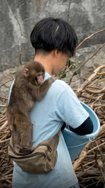 He Chose to Stay… Again and Again 🤍 The Quiet Way a Bond Is Built