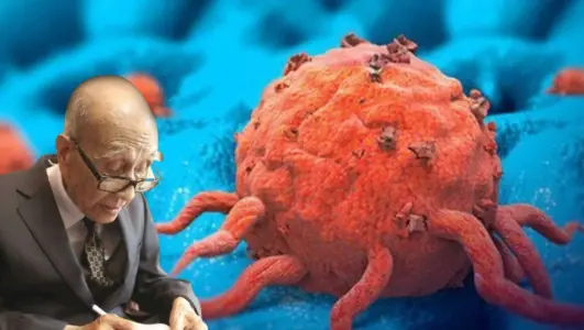 7 foods that kill cancer cells