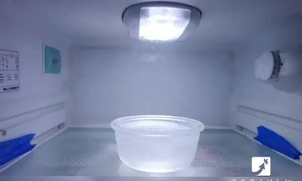 This quick water bowl method can help lower your fridge’s power consumption