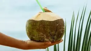 Coconut water seems refreshing—but for these 3 groups, it may do more harm than good