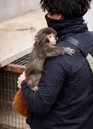 It’s Not Just Care… It’s Trust: The Quiet Power of Feeling Safe