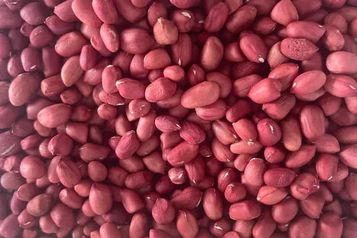 Daily Peanut Consumption: What Doctors Say About the Benefits and Risks