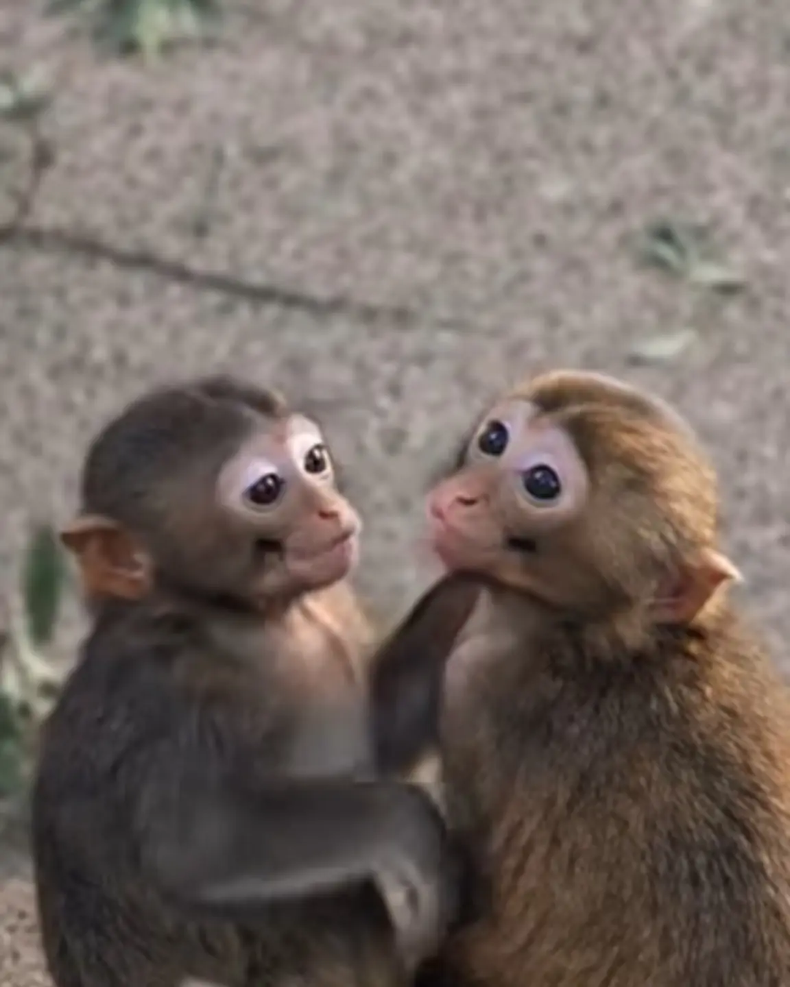 He’s Finding His Place: A Quiet Journey From Fear to Belonging