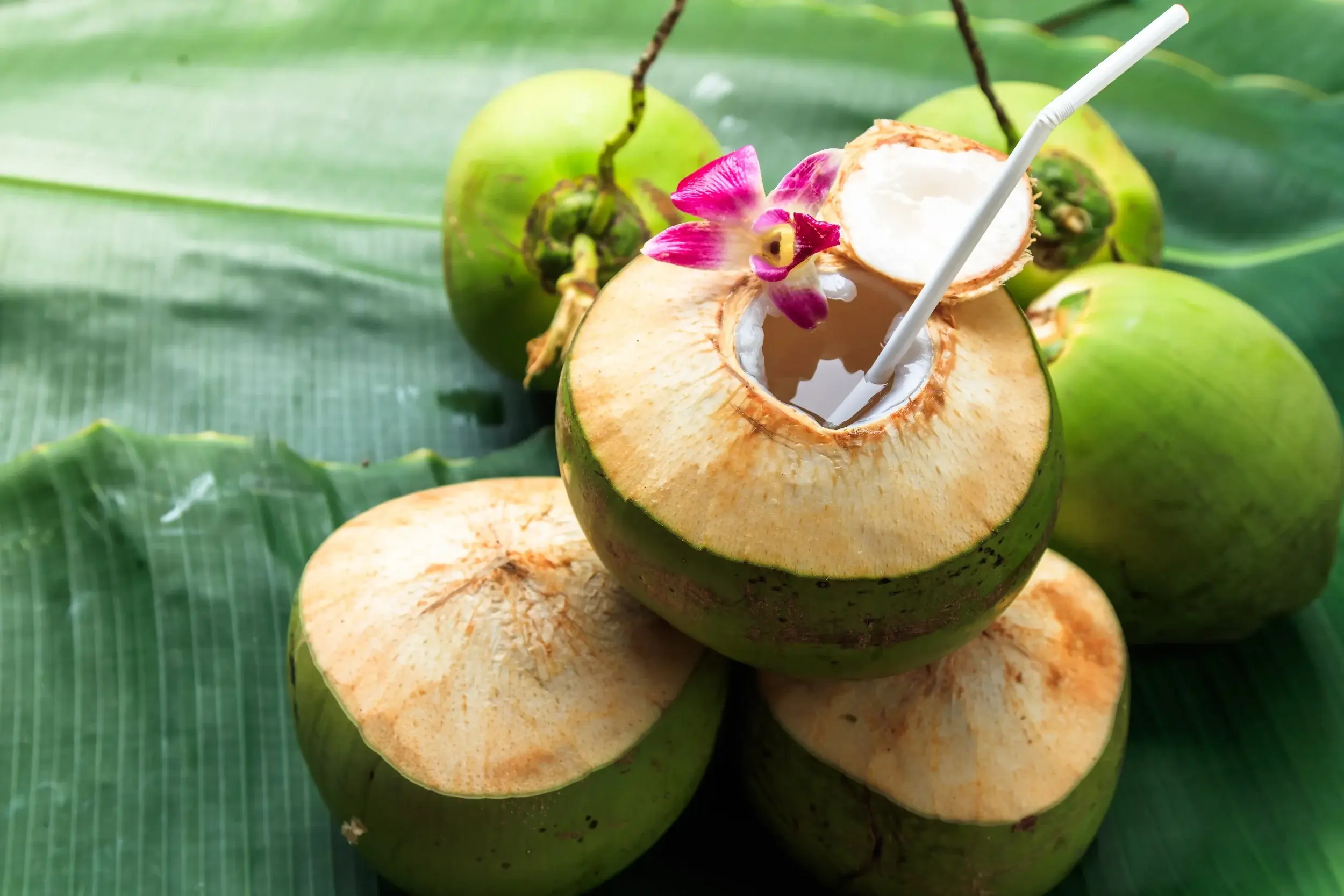 Coconut Water Is Healthy — But These 5 People Should Think Twice Before Drinking It