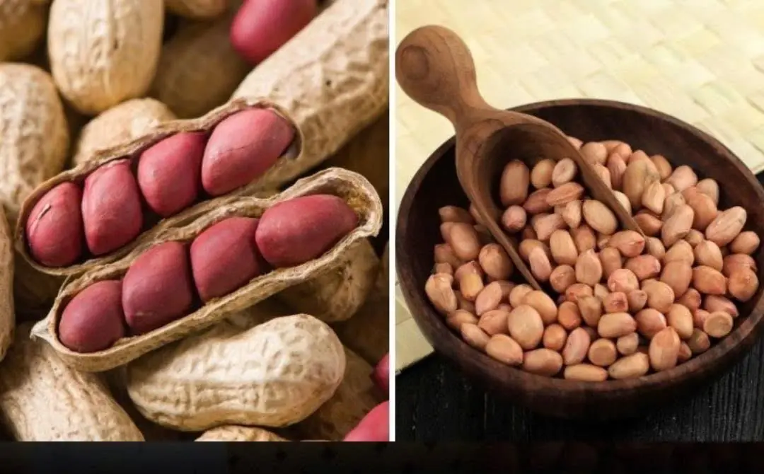 Every one needs to know to avoid buying the wrong one