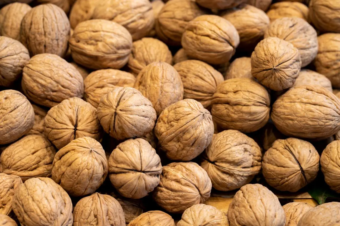 Doctors Warn That Eating Walnuts May Have Unexpected Effects on Your Health