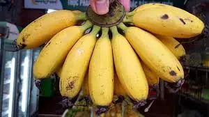 You won’t believe what doctors say about green broccoli… Find out