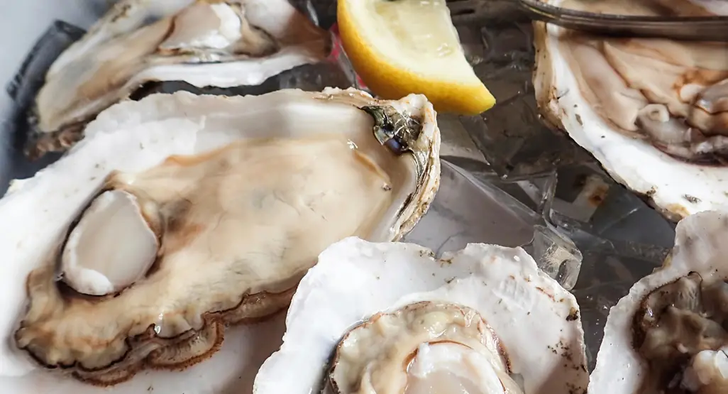 You May Need to Skip Oysters If You Fall Into These Groups
