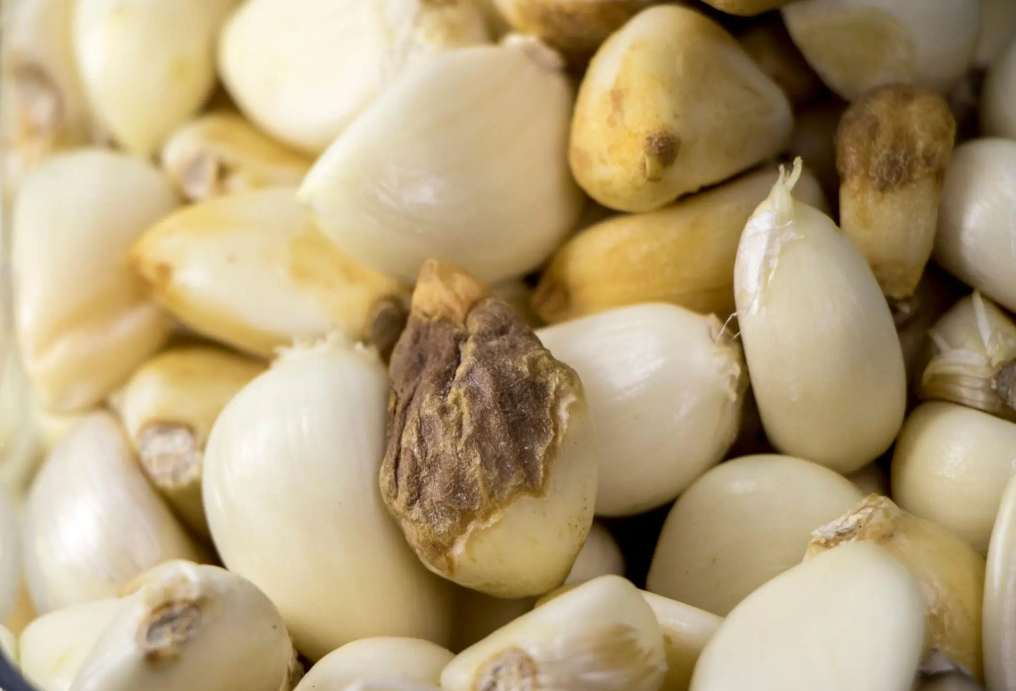 Avoid buying these 4 types of garlic when you see them at the market