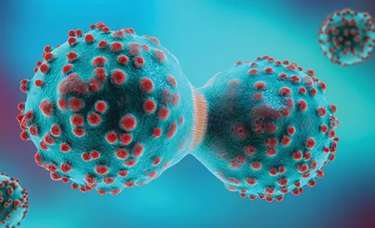 Doctors Warn That Odors in 3 Areas of the Body May Signal Li.ver Failure