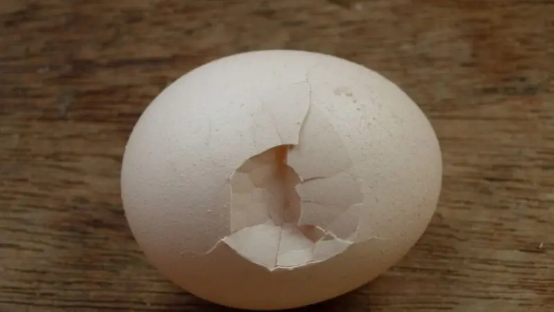 7 types of eggs that could negatively affect your health, even though many people still eat them