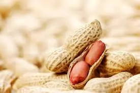 Peanuts: A Simple Snack With Surprising Effects, According to Doctors