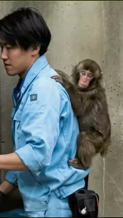 The Dads They Needed Most: A Story of Care, Connection, and Chosen Family