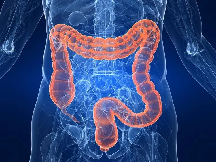 Colon Cleansing: Health Trend or Risky Myth? What Science Really Says