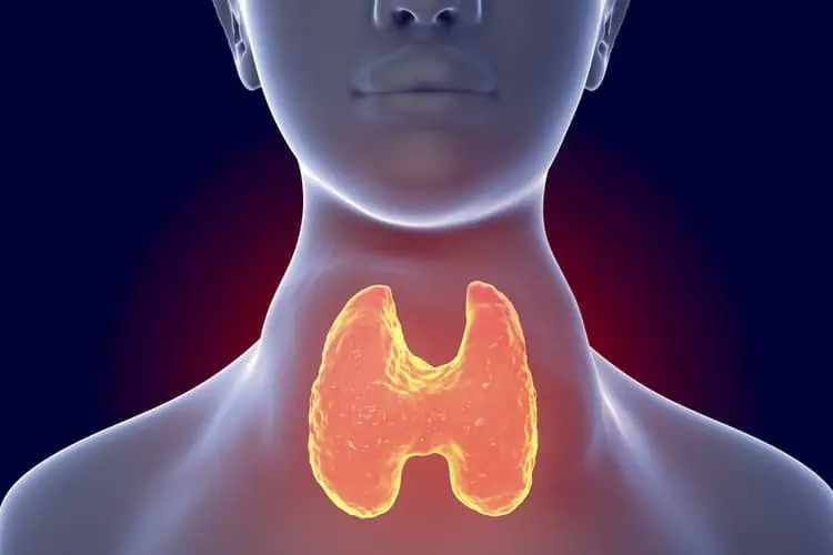 Be careful: 2 supplements that may influence thyroid can.cer risk