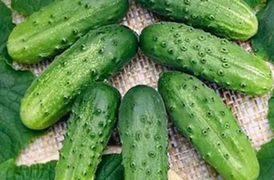 People Who Regularly Eat Cucumbers May Experience 3 Remarkable Changes Over Time