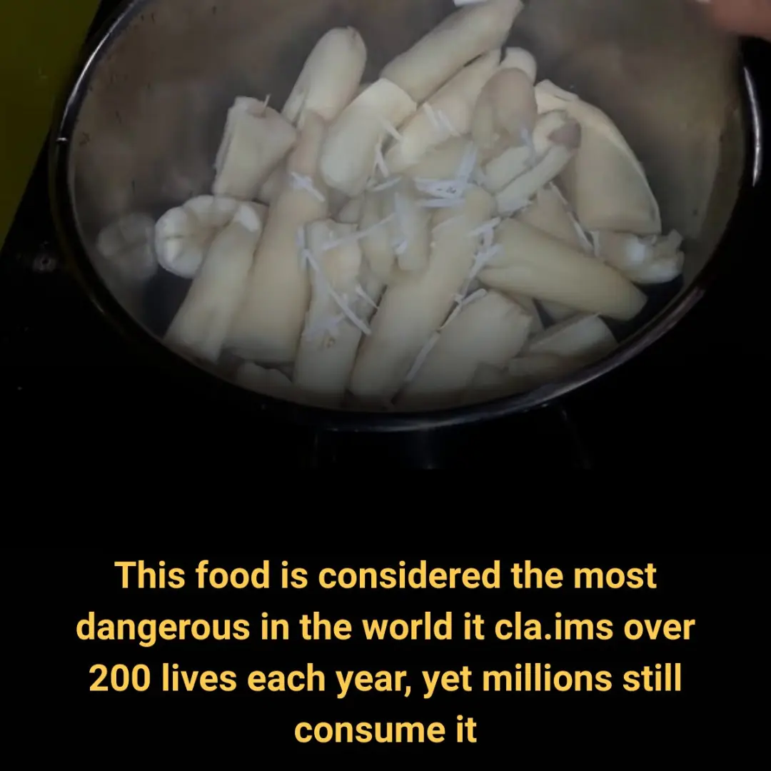 ‘World’s Deadliest Food’ Kills More Than 200 People a Year — But Millions Still Eat It