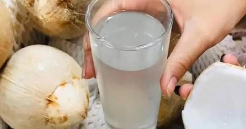 4 Best Moments in the Day to Drink Coconut Water for Better Health
