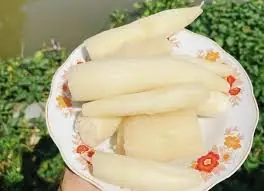 You eat cassava often… but here’s what doctors say it might do to your body