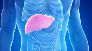 If your liver isn’t functioning well, check if these signs apply to you