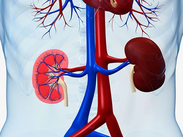 If your kidneys are in trouble, your body may show these 10 signs