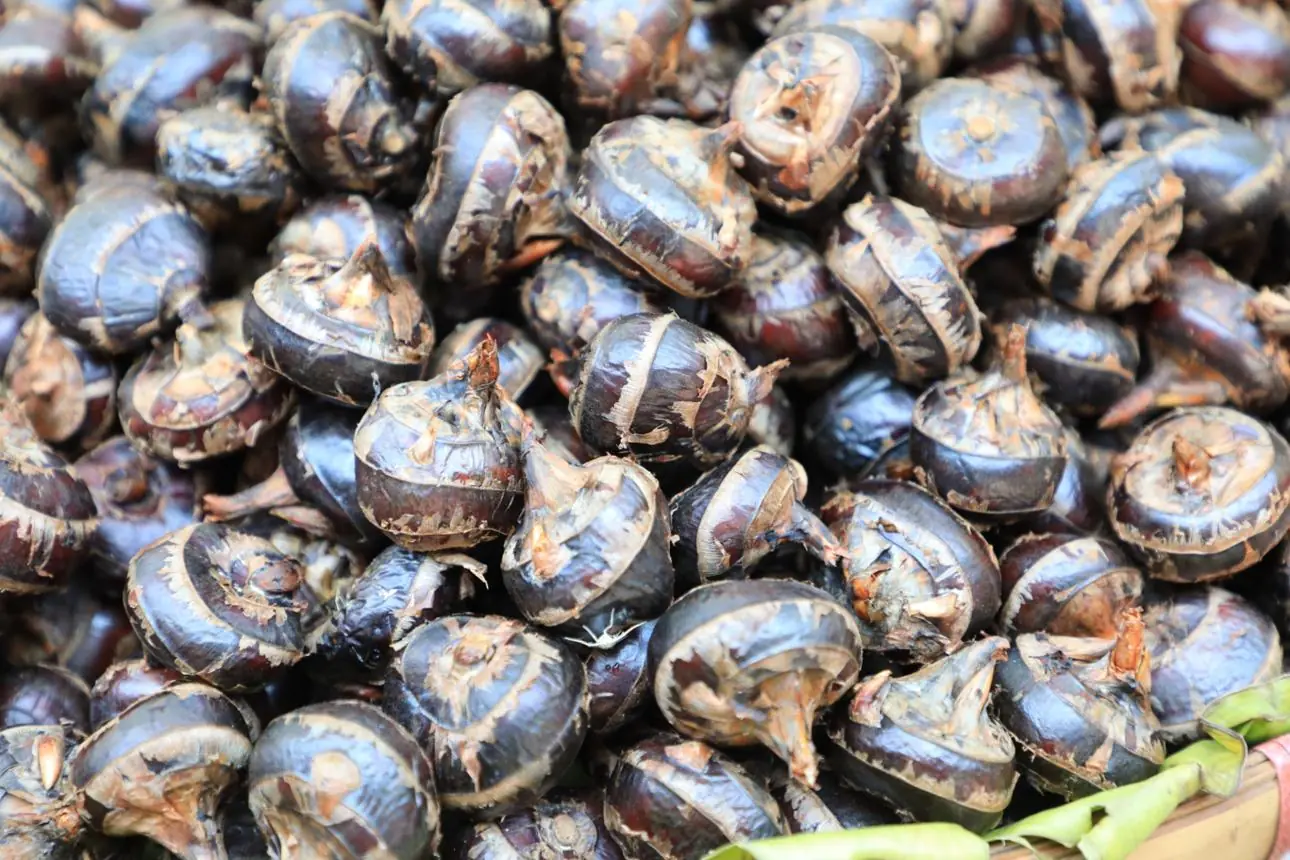 Water Chestnuts and Hidden Risks: What You Should Really Know