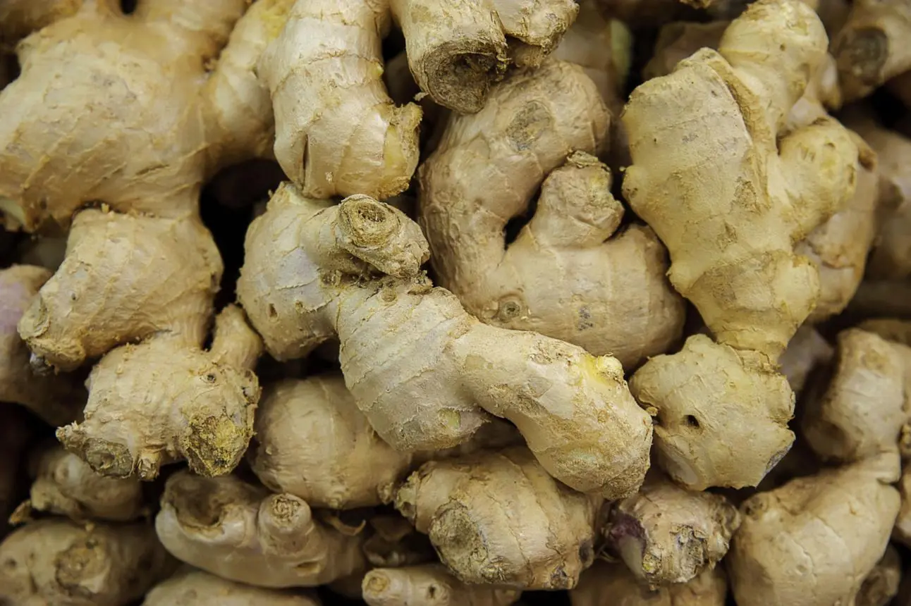 When Ginger Isn’t Safe: 5 Health Conditions That Require Caution