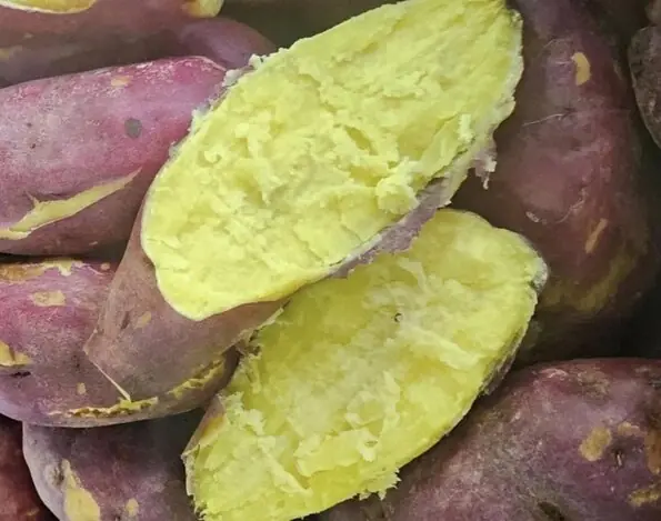 She Believed Daily Sweet Potatoes Were Healthy… Until Her Liver Results Proved Otherwise
