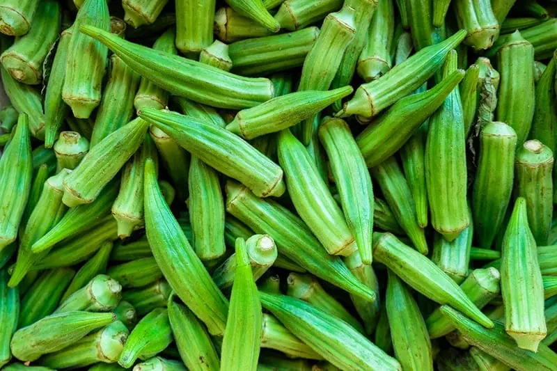 Think Okra Is Good for Everyone? These 7 People Should Be Careful
