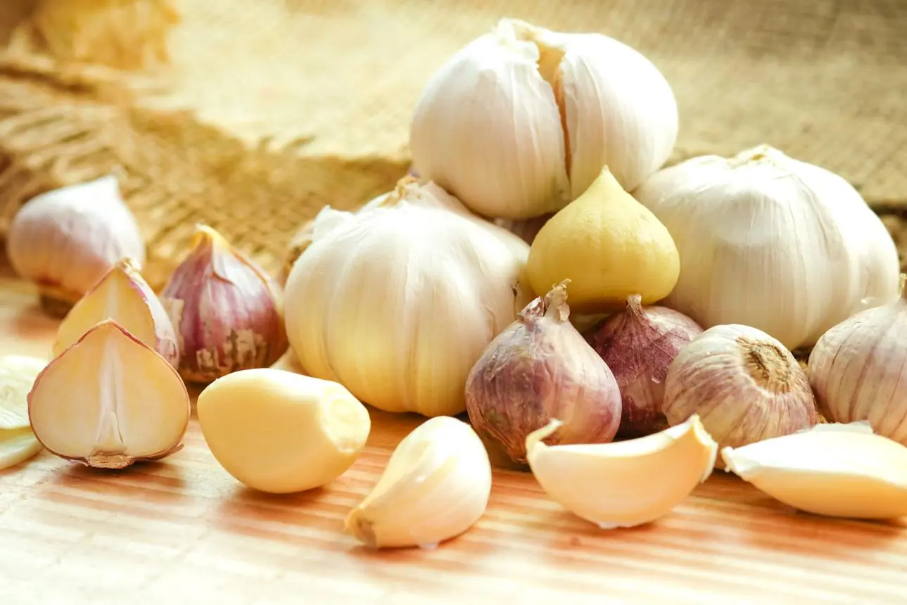 Garlic: Powerful Health Benefits—But Not for Everyone