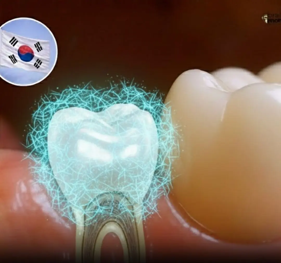 Learn how a revolutionary microneedle patch could make regrowing your teeth a reality