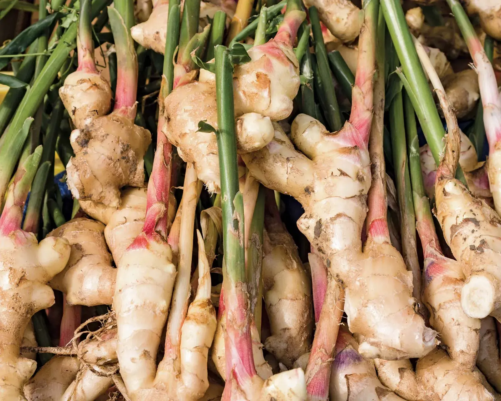 Doctor Warns: Eating Ginger the Wrong Way May Do More Harm Than Good