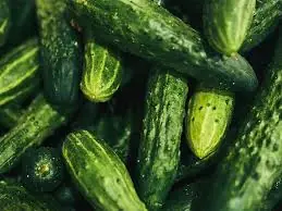 What Eating Cucumbers in Salads Does to Your Body, According to Doctors