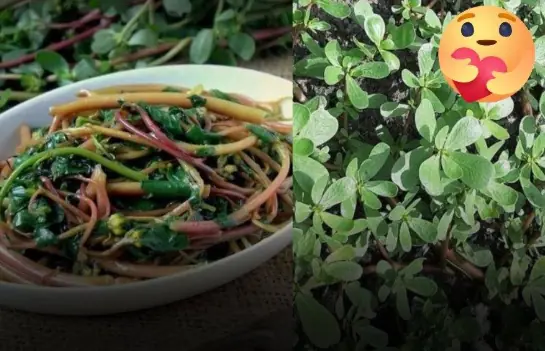 A Wild-Growing Vegetable Once Ignored Is Now Highly Sought After