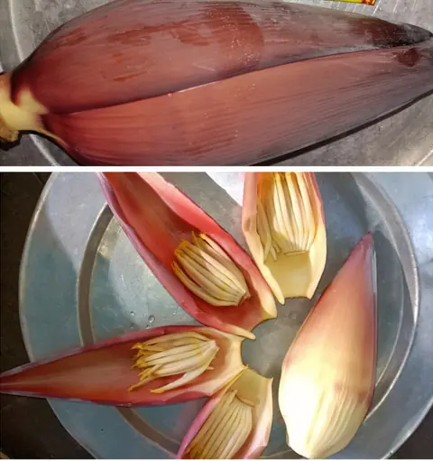 Exploring a natural remedy linked to blood sugar, blood pressure, and digestive support