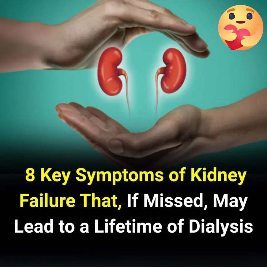 One Egg a Week, 47% Lower Alzheimer’s Risk