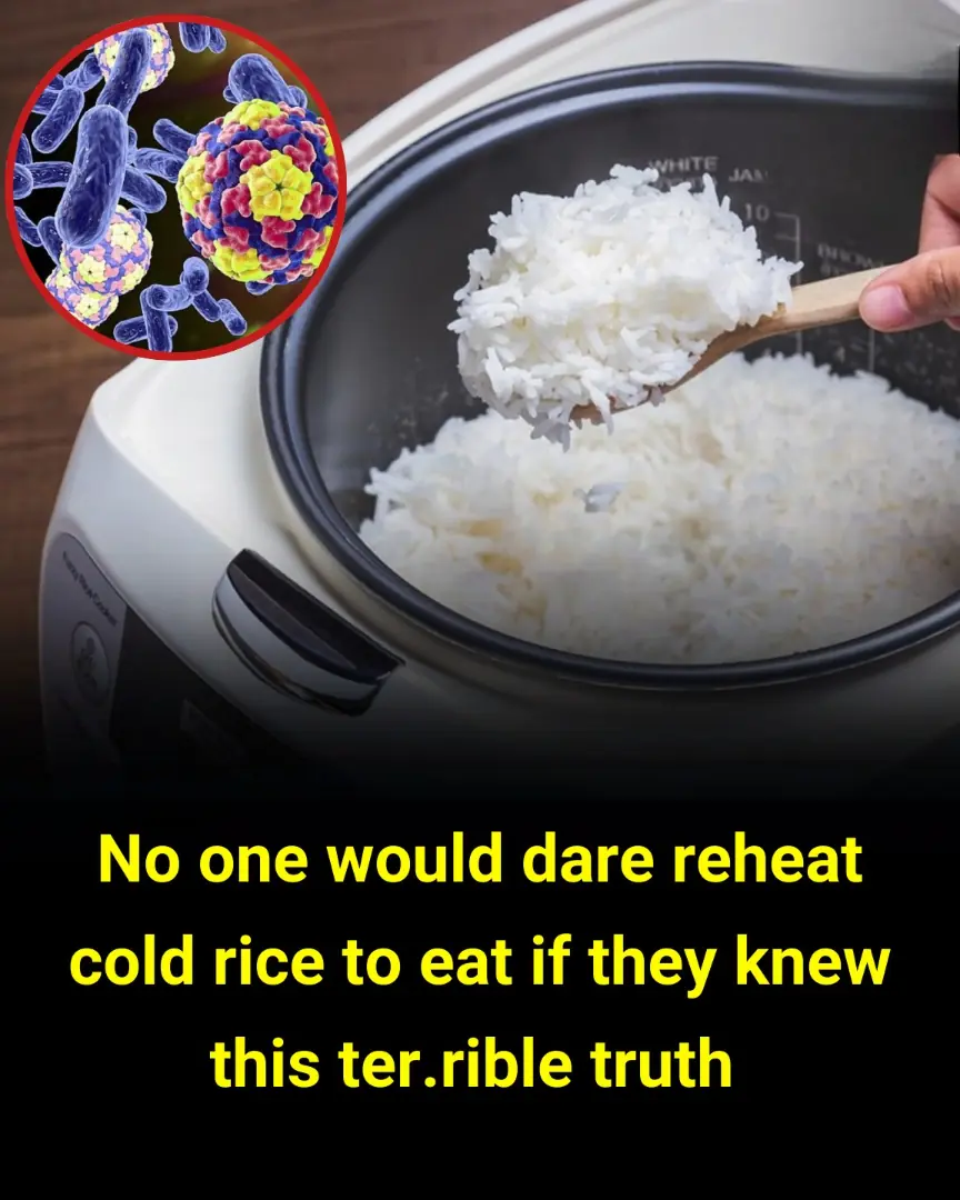 Alzheimer’s disease is one of the most challenging health issues of our time