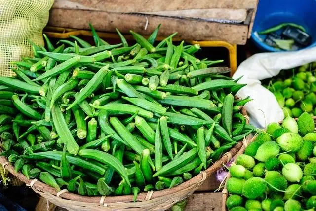 A Simple Longevity Secret: Why Okra May Support a Longer Life
