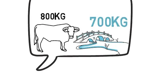 What a viral “Huawei interview question” teaches about business thinking?