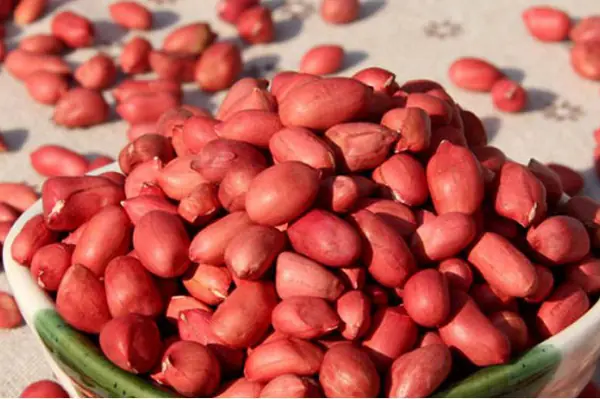 Eating peanuts every day? Here’s what doctors recommend you understand