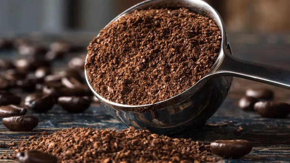 Coffee grounds are useful - here are some amazing ways to reuse them
