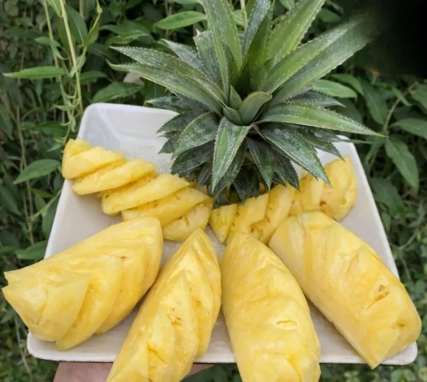 What happens if you start eating one cup of pineapple every day?