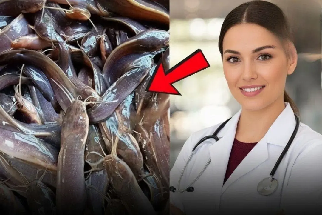 Don’t be tempted by the price - avoid these 6 types of fish