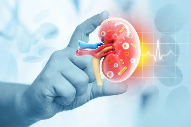 Early warning signs of kidney disease and ways to keep your kidneys healthy